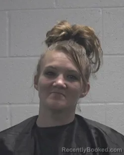 Mugshot of TESSA LEE HINSON