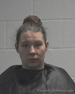 Mugshot of ARIEL ANTONIA MICHELL WILLIAMS