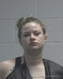 Mugshot of ERIN KATHLEEN WILSON