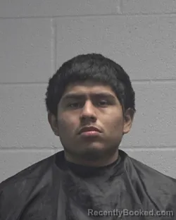 Mugshot of YAER NAVA-CEDILLO