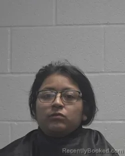Mugshot of JENNIFER GARCIA VELASCO