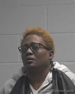 Mugshot of TRACEY SHERRON POWELL