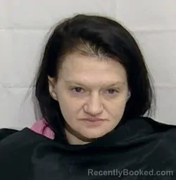 Mugshot of HEATHER ASHLEY ELLIS