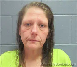 Mugshot of AMANDA LEIGH HALL