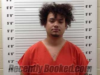 Booking photo from Pickens County, Georgia