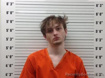 Booking photo from Pickens County, Georgia