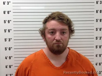 Mugshot of CLAY LOGAN