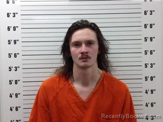 Booking photo from Pickens County, Georgia