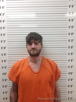 Booking photo from Pickens County, Georgia