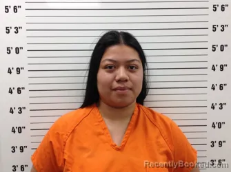 Mugshot of Joana Lopez