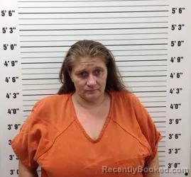 Booking photo from Pickens County, Georgia