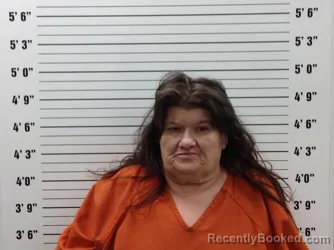 Booking photo from Pickens County, Georgia