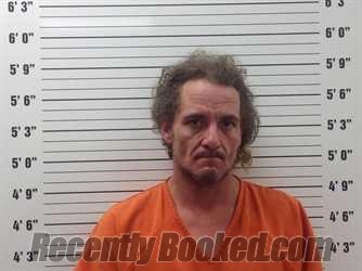 Booking photo from Pickens County, Georgia