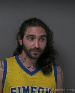 Mugshot of DAMIEN ALEJANDRO DEWALTVELAZQUEZ