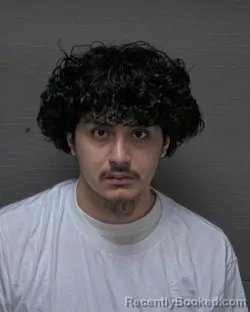 Mugshot of GERHARD STEVE MENENDEZ PERIANEZ