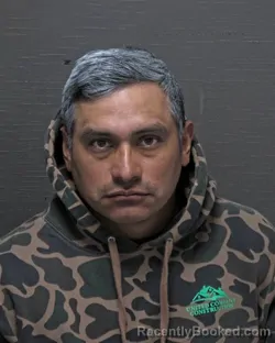 Mugshot of LAINEZ MEJIA