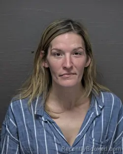 Mugshot of BRITTNY AUSTIN WILLIAMS