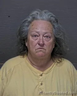 Mugshot of LINDA KAYE WARD