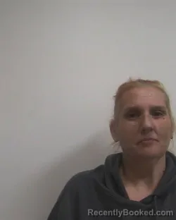 Mugshot of MELISSA CATHERINE DINKINS