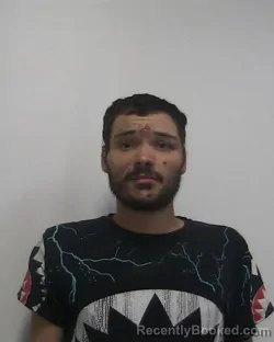 Mugshot of SKYLER BRYAN HODGES