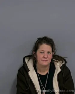Mugshot of JAMIE DANIELLE SWINK