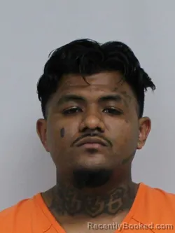 Booking photo from Davie County, North Carolina