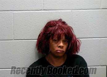 Booking photo from Bureau County, Illinois