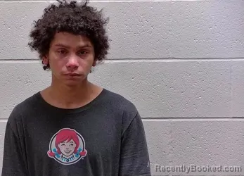 Mugshot of JOSEPH ANDREW FELLIN