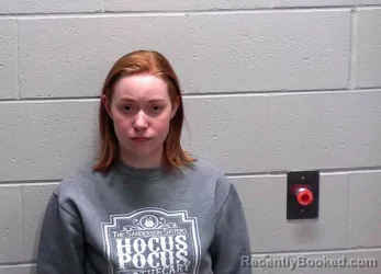 Booking photo from Bureau County, Illinois