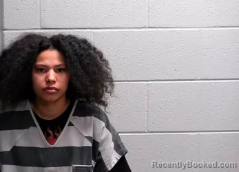 Booking photo from Bureau County, Illinois