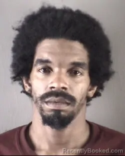 Mugshot of DETRON JANARD JOHNSON