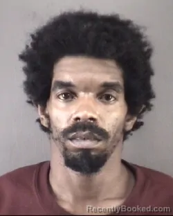 Mugshot of DETRON JANARD JOHNSON