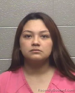 Mugshot of GILMA NAYELI GUTIERREZMINGO