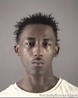 Mugshot of JOSYAH NIGEL ERVIN