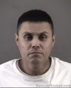 Mugshot of OSCAR VIERYA