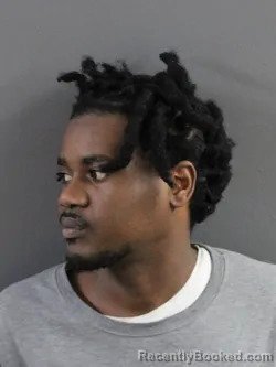 Mugshot of JOHNSTON SOUVERAIN