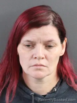 Mugshot of DAWN M MCLANE