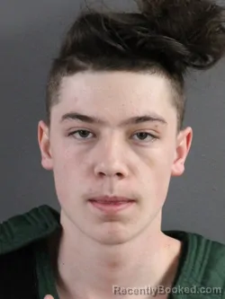 Mugshot of TAYTEN MATTHEW ADAMS