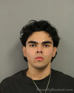 Mugshot of JESUS HERRERA
