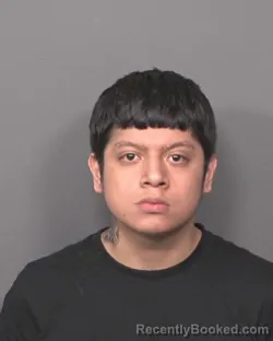 Mugshot of AUSTIN ARTEAGA