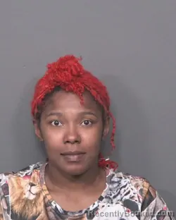 Mugshot of CHRISTINA R JACKSON-PERRY