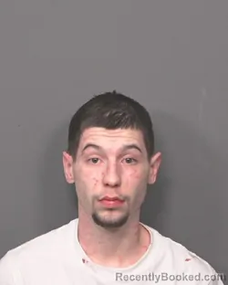 Mugshot of DOMINIC M CUMMINGS