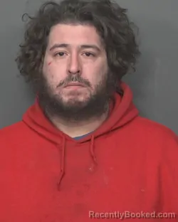 Mugshot of RAY A PEARSON