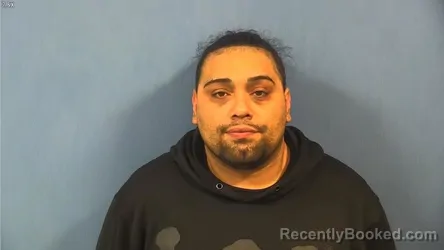 Mugshot of DAVID FOSTER