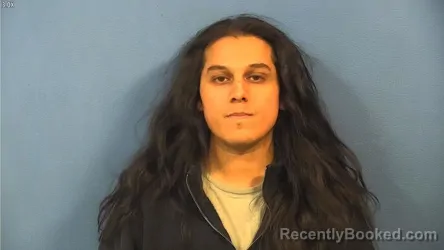 Mugshot of MARIO LIMON FLORES