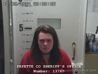 Mugshot of KAREN E DIGGS