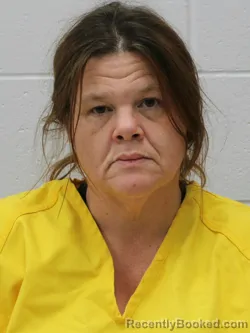 Booking photo from Franklin County, Illinois