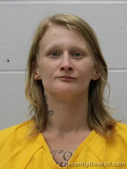Mugshot of JAMIE LEE STANLEY