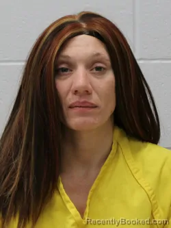 Mugshot of BRANDY R HEATER