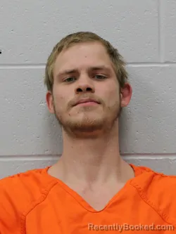 Mugshot of TREVOR L R LOVE